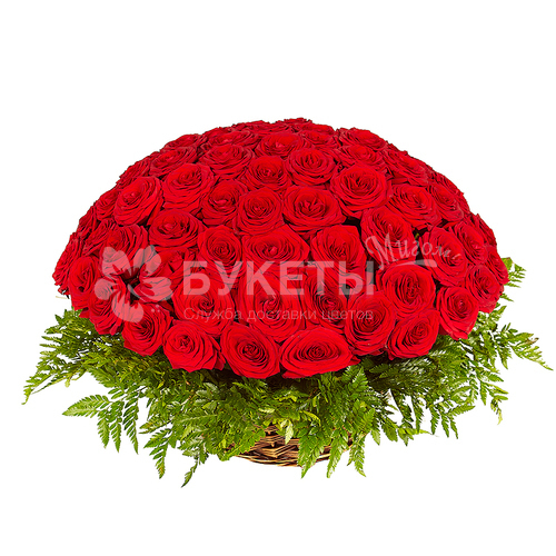 Корзина 101 роза "Сад моего сердца"